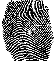 False fingerprint detection method based on finger wave conversion and SVM