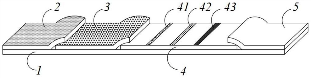 Test strip for detecting feline coronavirus, preparation method thereof, kit and detection method