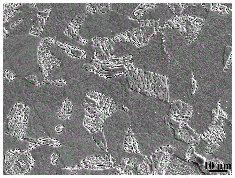 Galvanized-free high-strength and plastic cold-rolled stainless steel sheet for automobiles and manufacturing method thereof