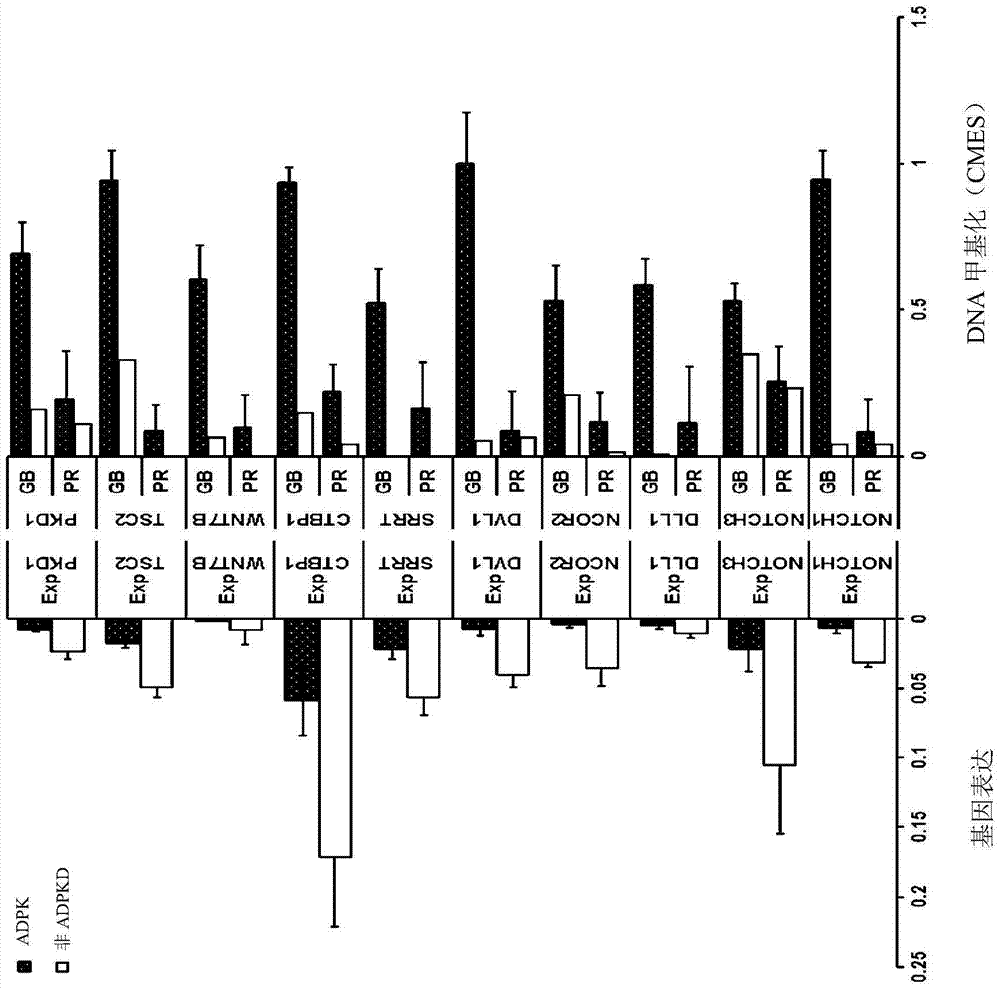 Pharmaceutical composition for improving or treating autosomal dominant polycystic kidney disease comprising dna methylation inhibitor