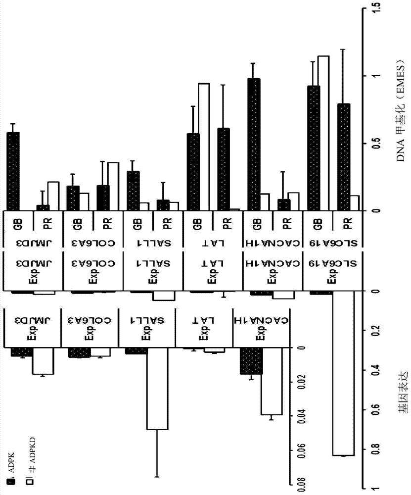 Pharmaceutical composition for improving or treating autosomal dominant polycystic kidney disease comprising dna methylation inhibitor