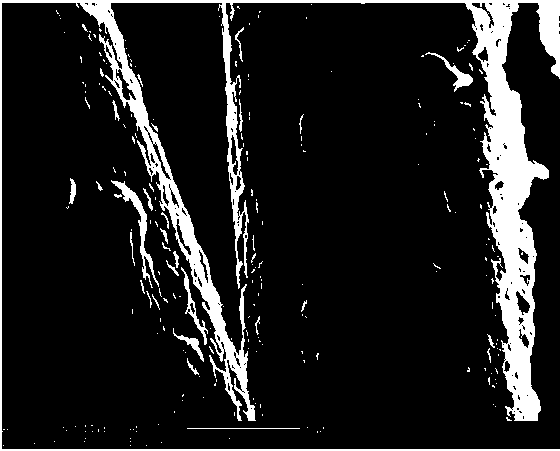 Method for grafting modified aramid fiber on surface of graphene oxide