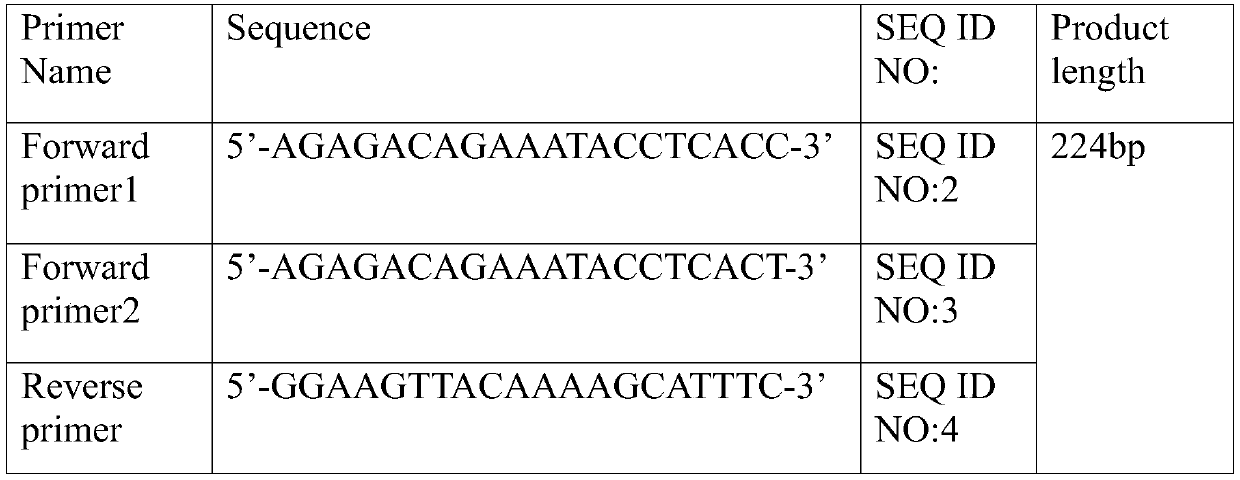 Endometrial cancer susceptibility associated genetic molecular marker detection kit