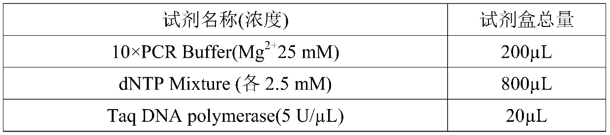 Endometrial cancer susceptibility associated genetic molecular marker detection kit