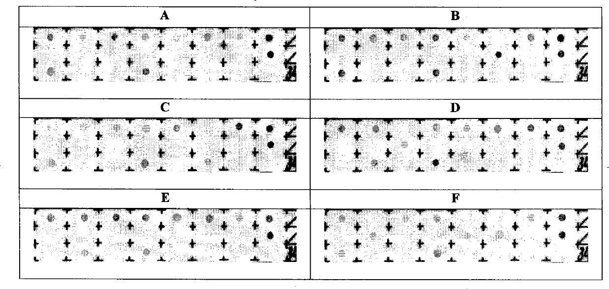 Detection kit for nucleoside analogue drug-resistant correlated mutation of hepatitis B viruses