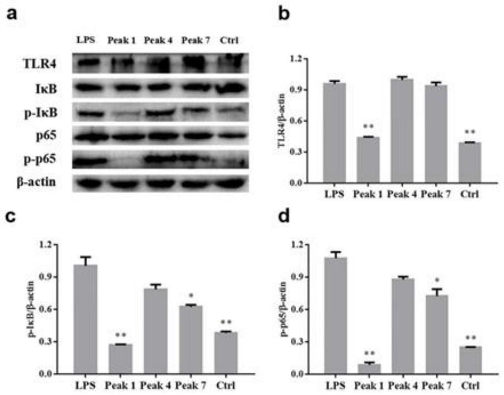 Method for identifying main components for treating mastitis in coronet aqueous extract