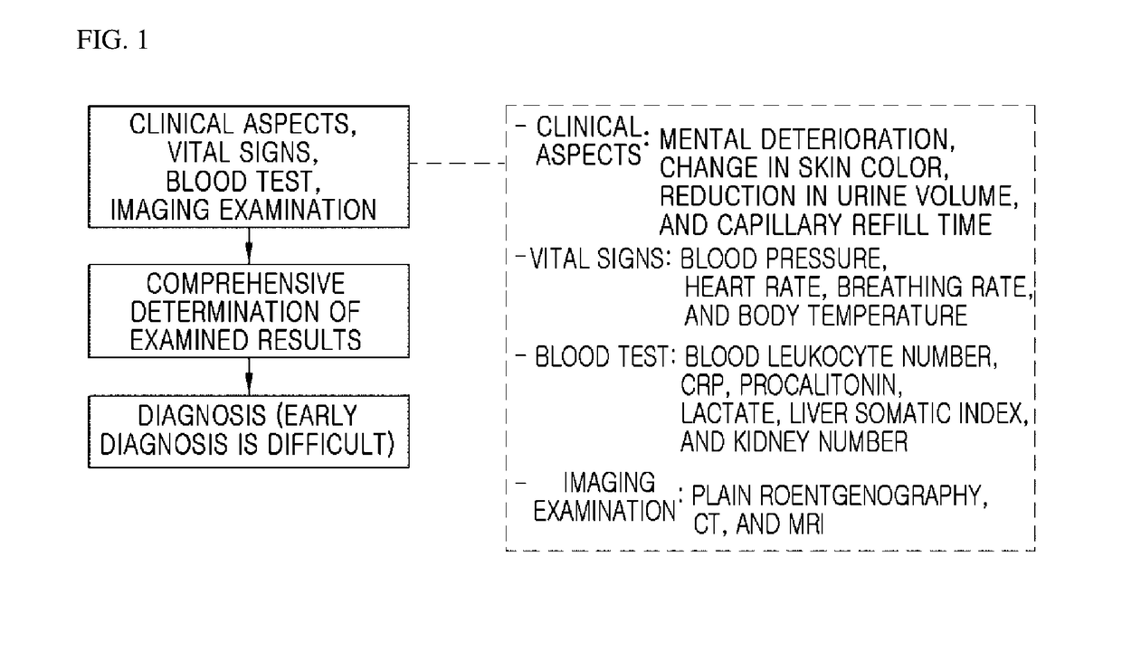 Apparatus for angiographic optical coherence tomography in retina or choroid, and method for diagnosing diseases by using same