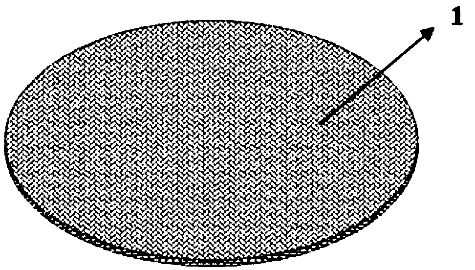 Bionic composite material disc spring part and preparation method thereof