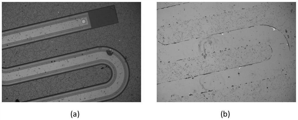 A transfer printing process method for flexible mems devices