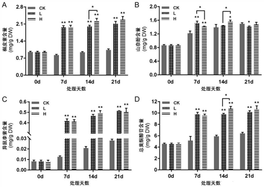 Device and method for increasing flavonoid content of ginkgo leaves by utilizing ultraviolet radiation