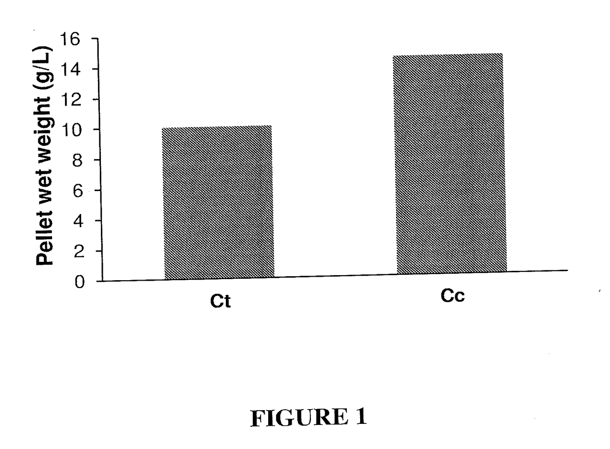 Highly potent cellulolytic enzyme preparations and processes for producing same