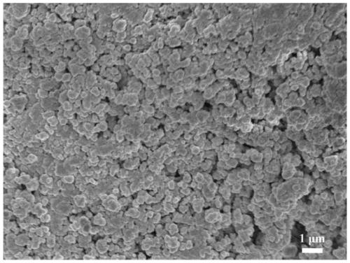 Two-dimensional covalent organic framework modified ion exchange resin as well as preparation method and application thereof