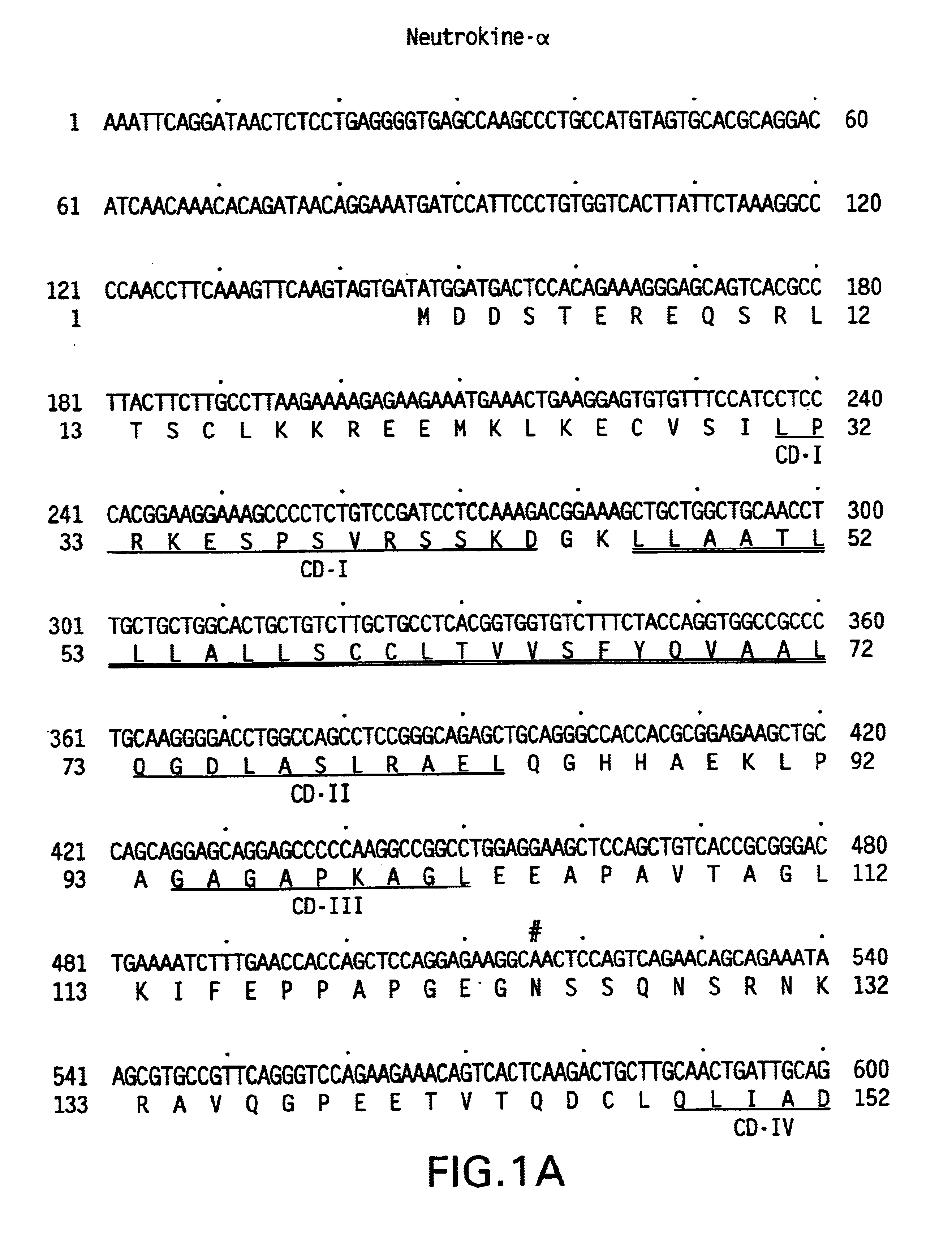 Method of assaying Neutrokine-alpha mRNA level