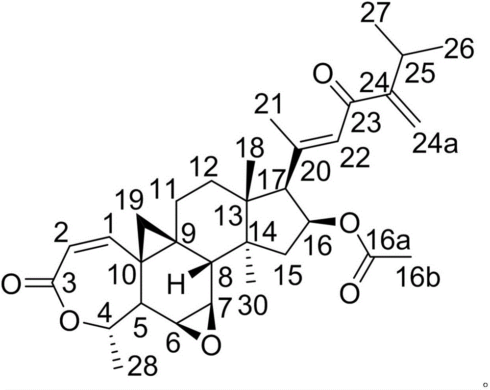 Dimercaptosuccinic acid pharmaceutical composition and medical application thereof