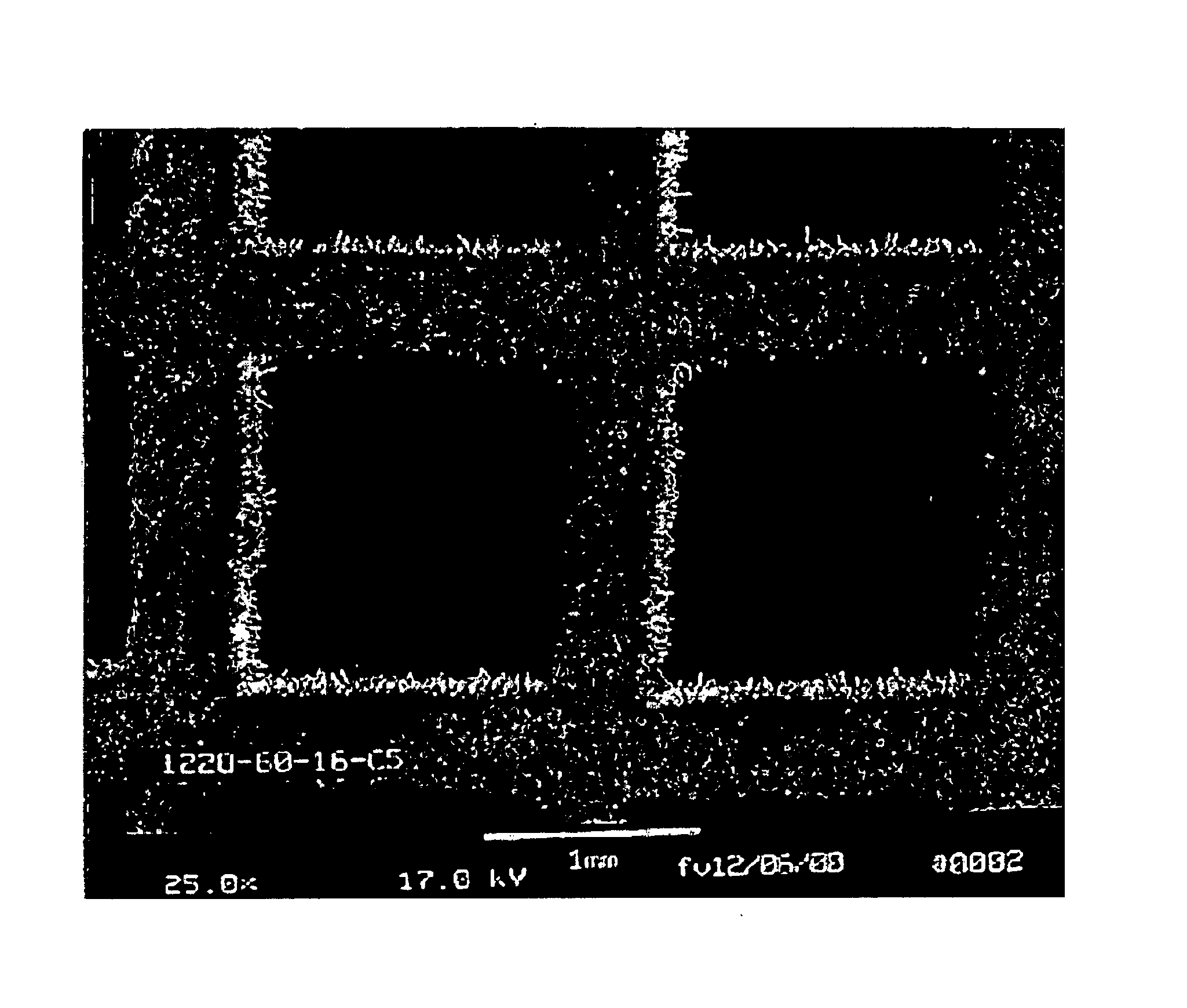 Catalytic devices and method of making said devices