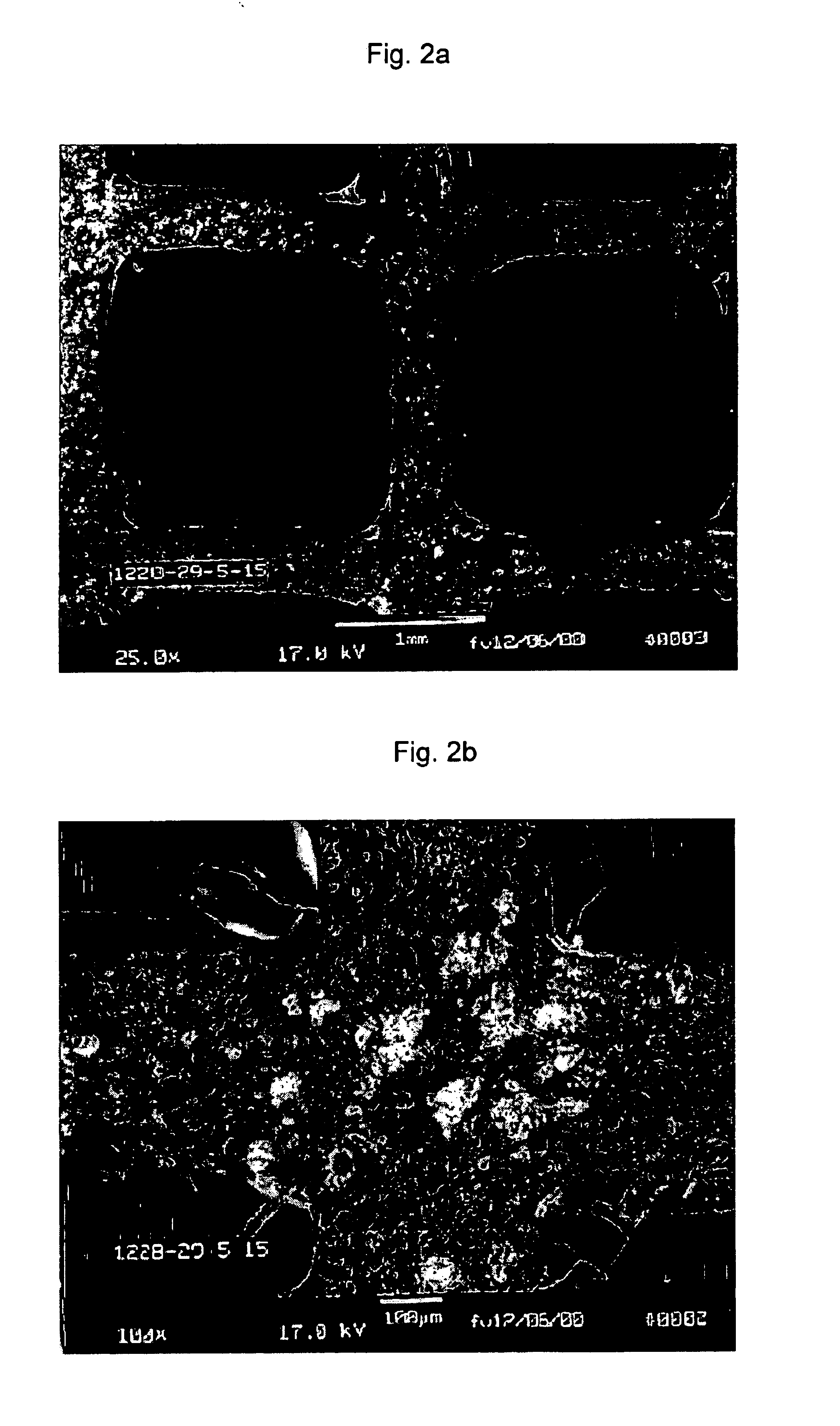 Catalytic devices and method of making said devices