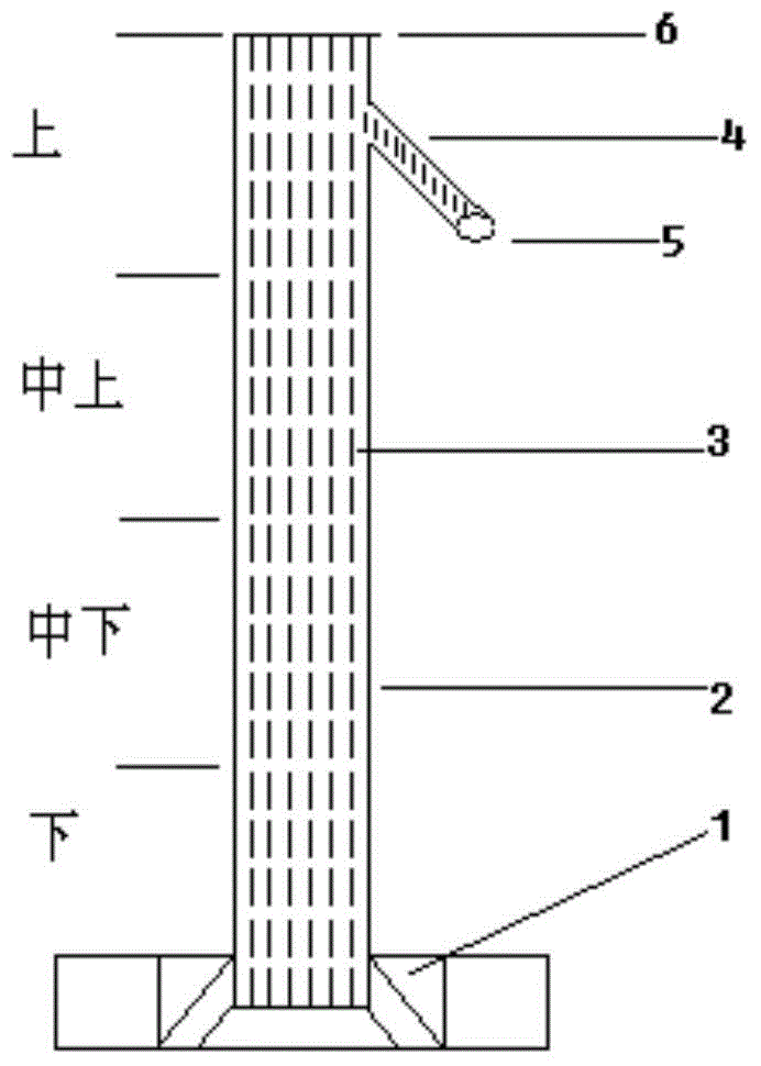 Granular and tubular structure combined device with function of making water flow upwards