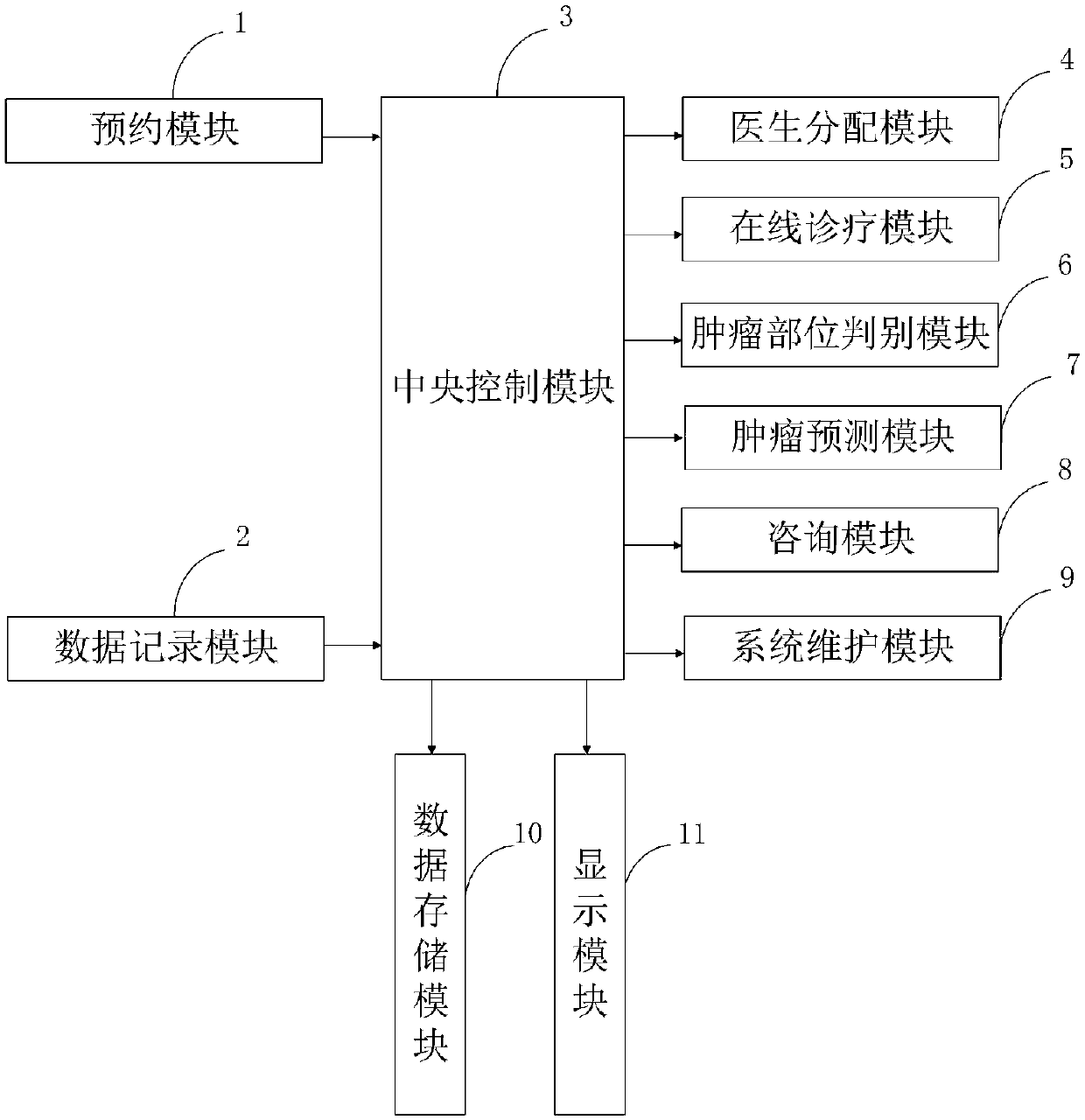 Tumor pre-diagnosis information processing system and method