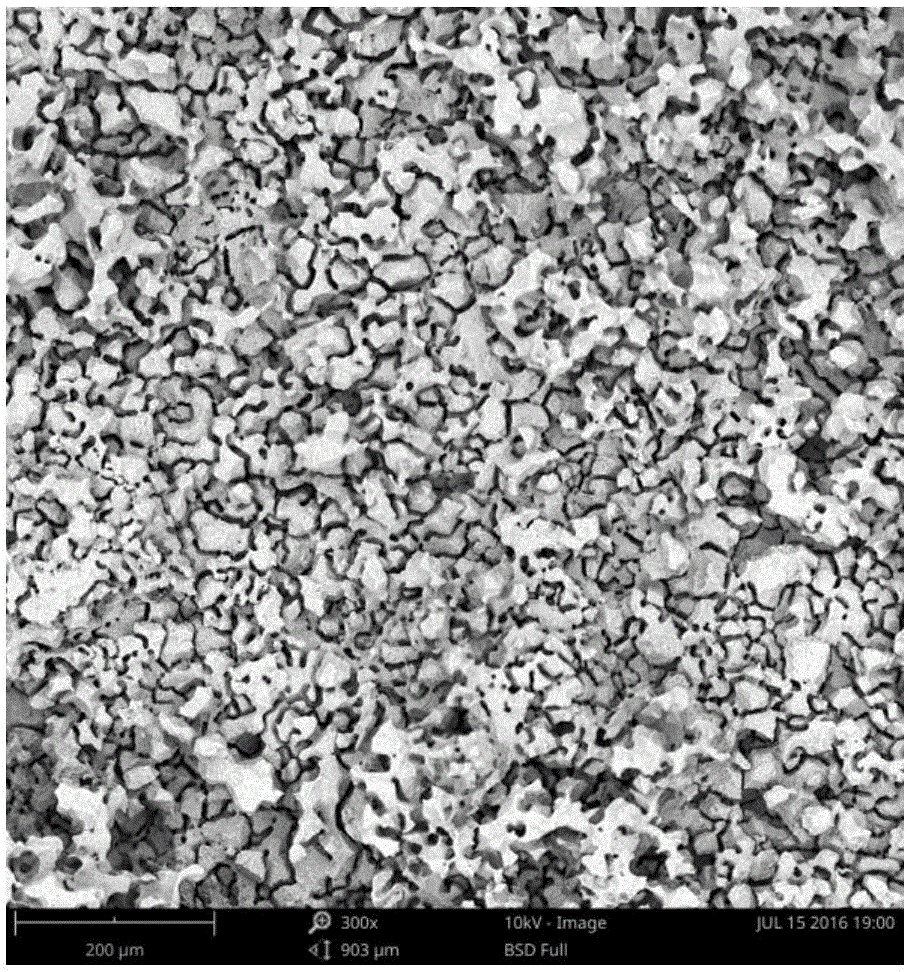 Aluminum alloy electrode material and preparation method and application of aluminum alloy electrode material