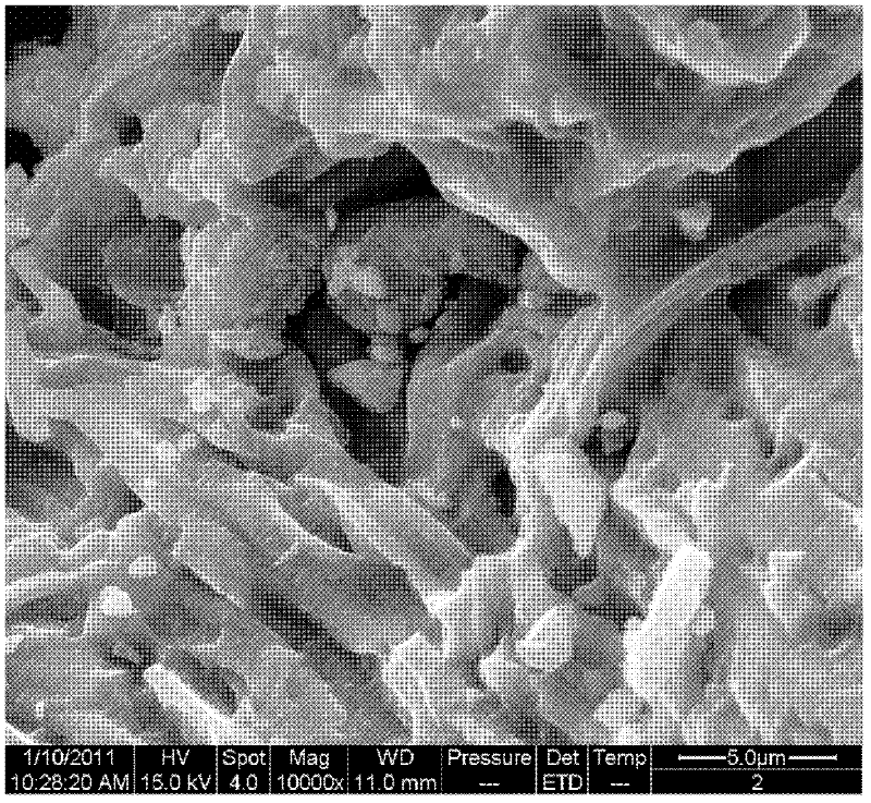 Preparation of sulfur-modified magnetic chitosan and method for treating heavy metal wastewater