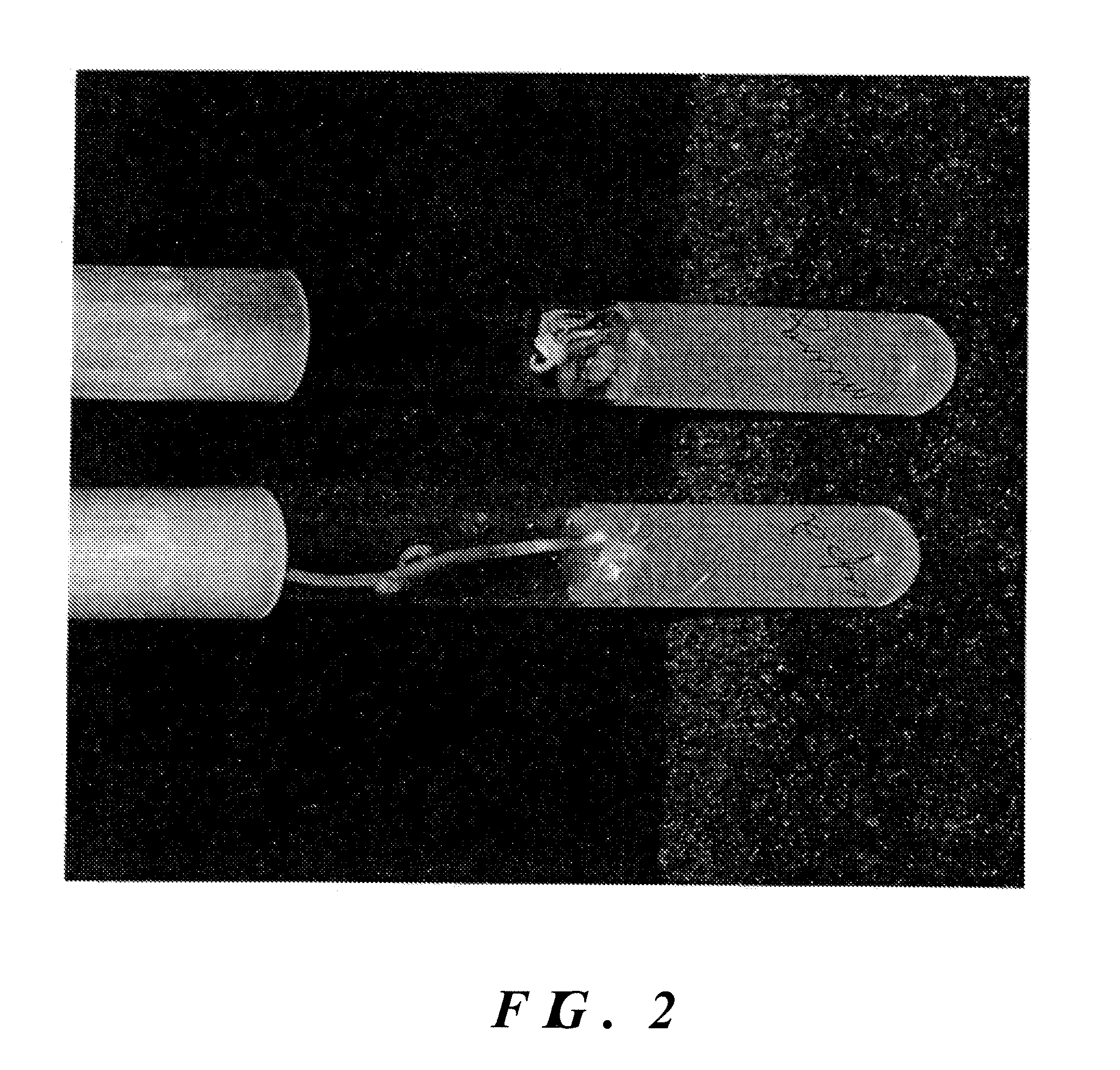 Method and composition for clearing sewer lines of roots utilizing herbicides and bacteria