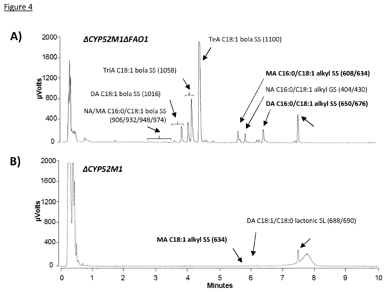 Improved production of symmetrical bolaform sophorosides