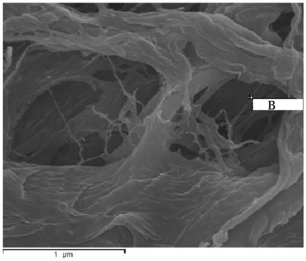 A kind of preparation method of graphene heat dissipation composite material