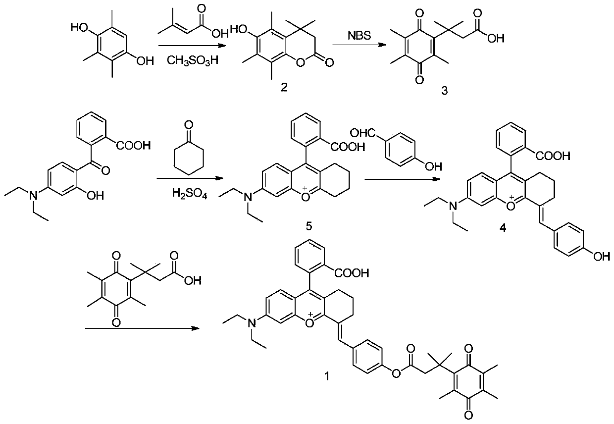 Fluorescent probe molecule for detecting diaphorase based on rhodamine derivative and preparation method and application thereof