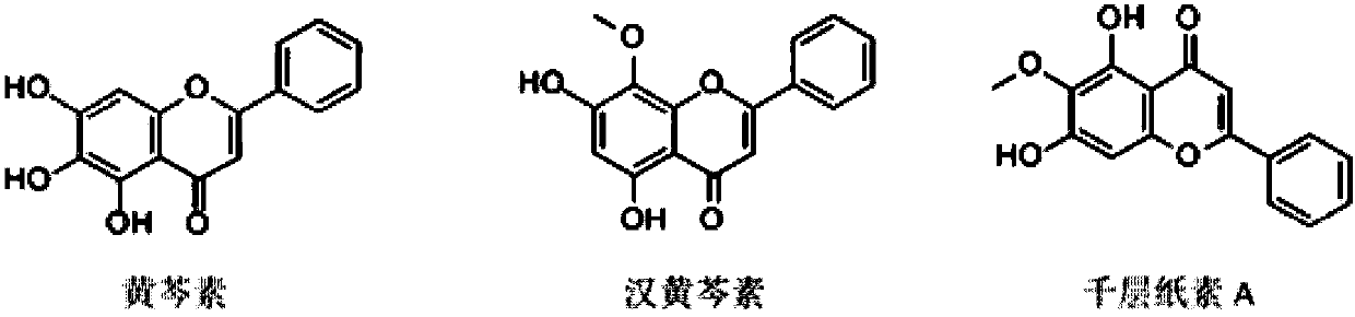 Method for extracting total flavonoid aglycone from Scutellaria baicalensis based on infrared-assisted enzymatic hydrolysis technology