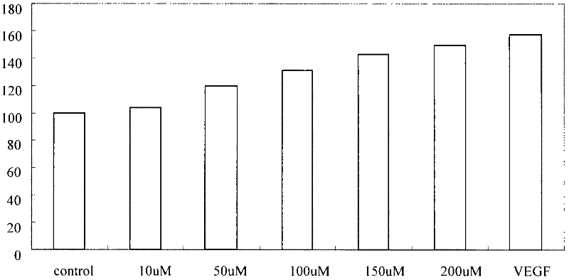 Application of butylphthalide or derivatives thereof in preparation of medicaments for promoting angiogenesis