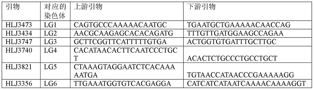 A method for constructing the core population of carp disease-resistant families