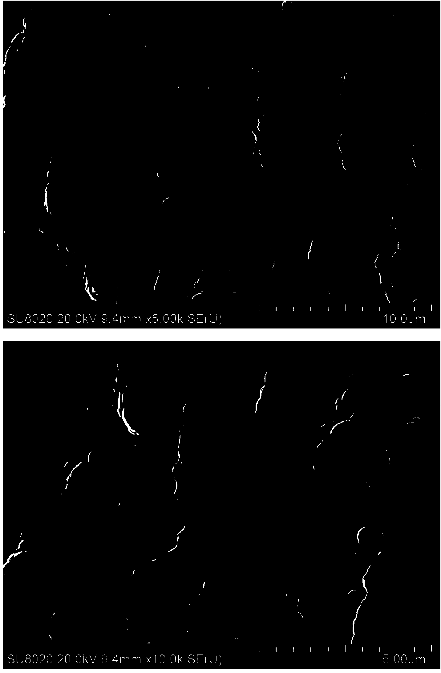 Method for preparing carbon nano-tube modified palladium-loaded electrode through electrophoresis-chemical deposition