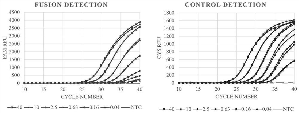 Primer composition and reagent for fusion gene detection