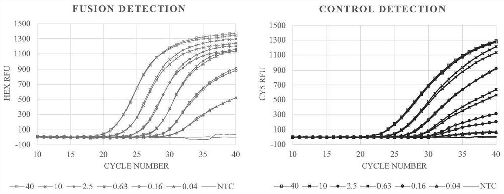 Primer composition and reagent for fusion gene detection