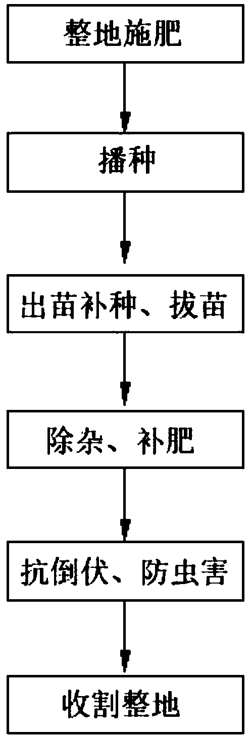 Wheat plantation method