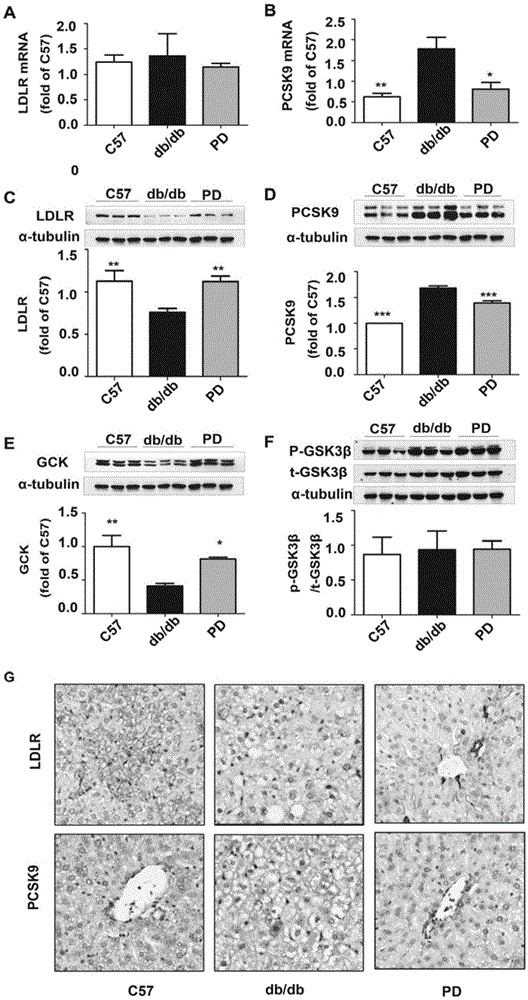 Traditional Chinese medicine monomer component medicine for inhibiting PCSK9 target, and application of polydatin in preparation of PCSK9 target inhibition medicines