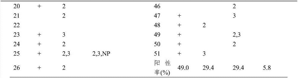 Polypeptide for typing hemorrhagic fever with renal syndrome caused by Hantaan virus and Seroul virus