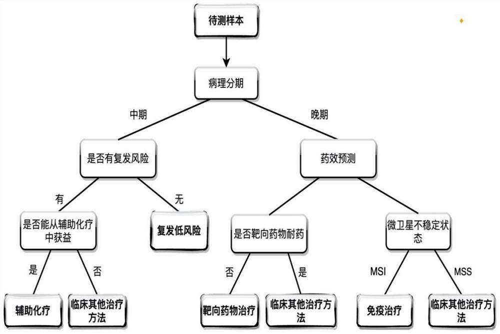 Decision algorithm for treatment scheme of middle and advanced colorectal cancer