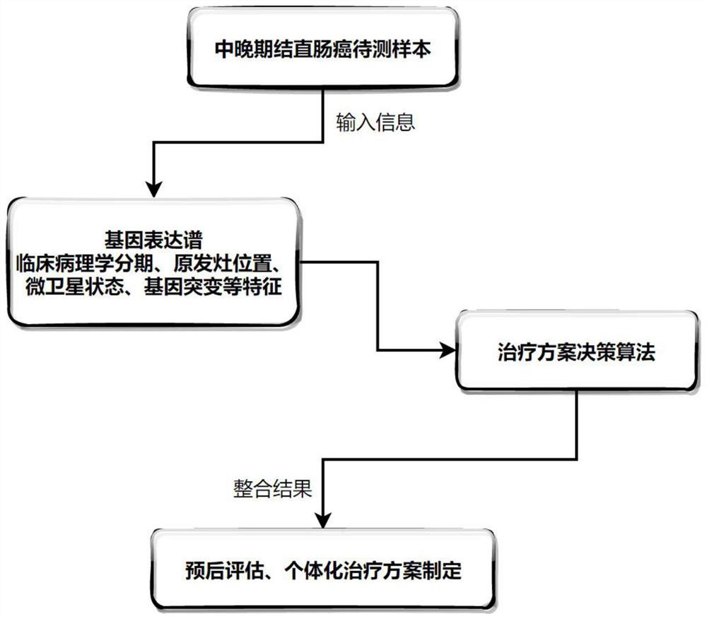 Decision algorithm for treatment scheme of middle and advanced colorectal cancer