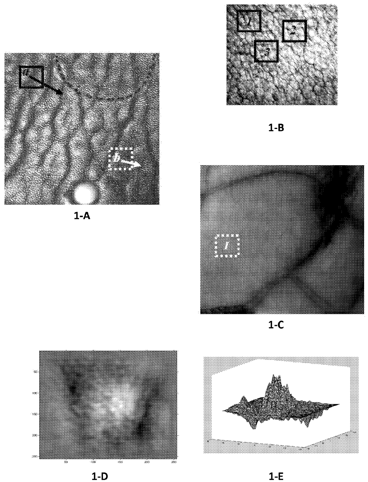 Method of augmented authentification of a material subject