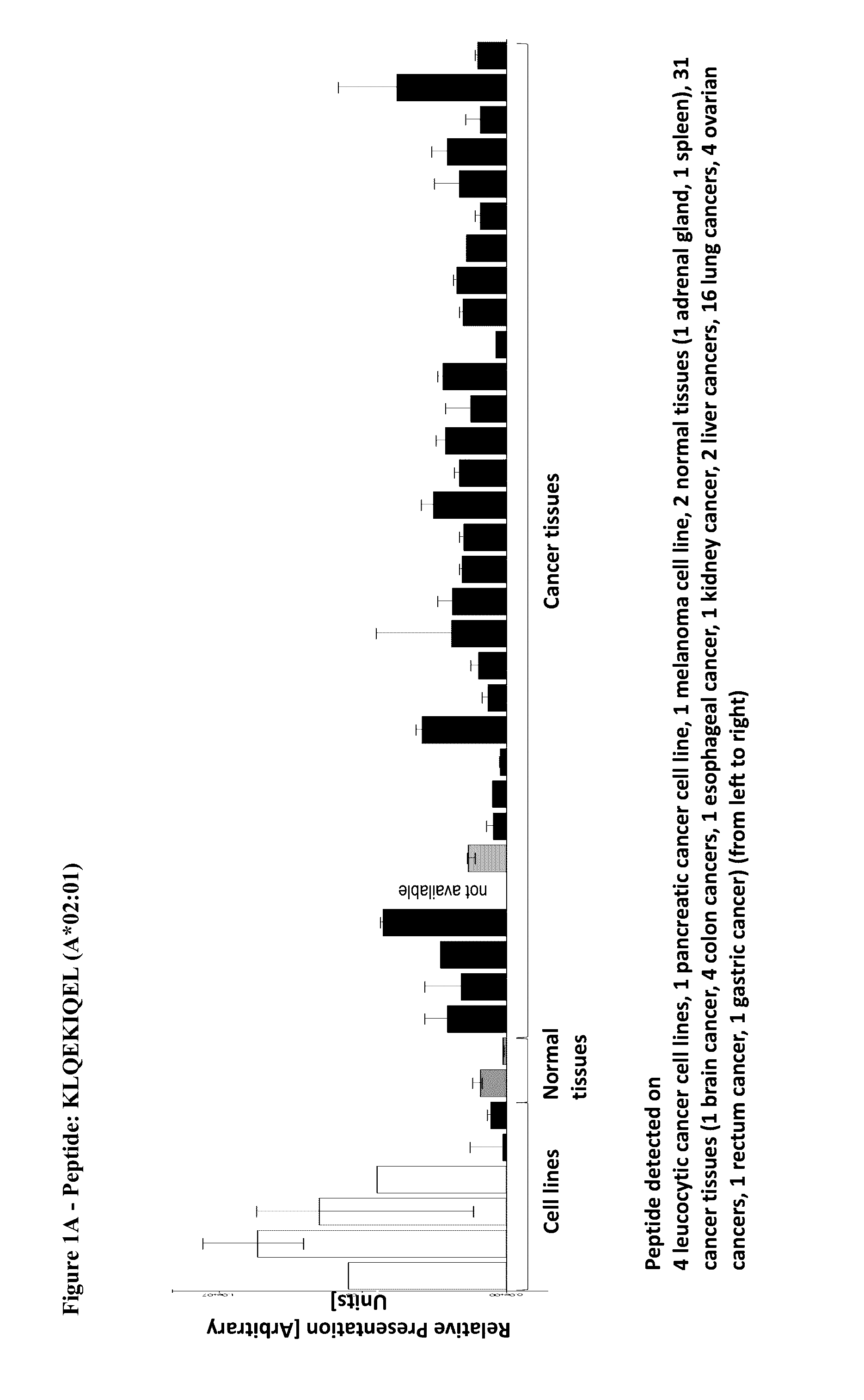 Novel peptides and combination of peptides for use in immunotherapy against various tumors