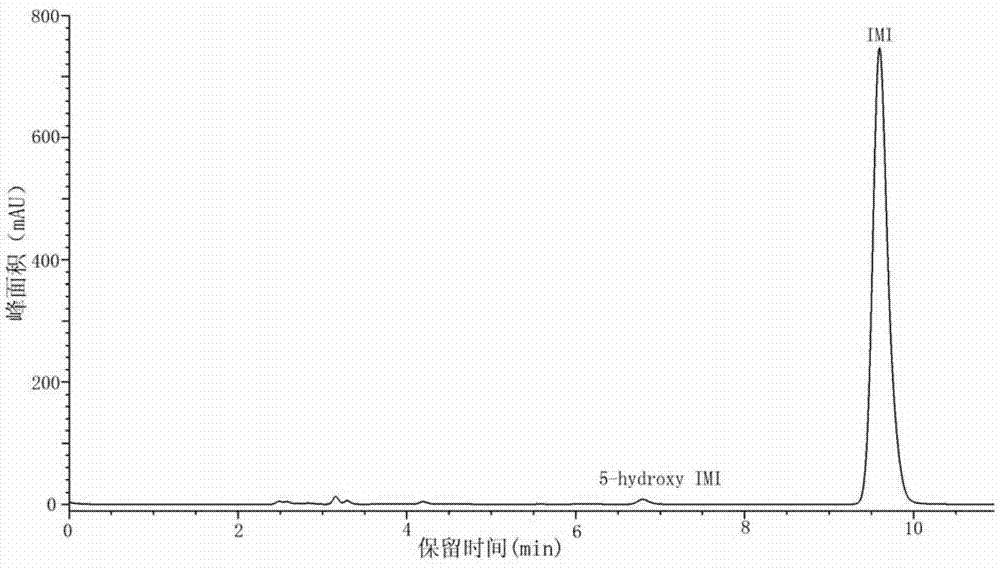 Pseudoxanthomonas indica and application thereof in degrading chloronicotinyl insecticide imidacloprid