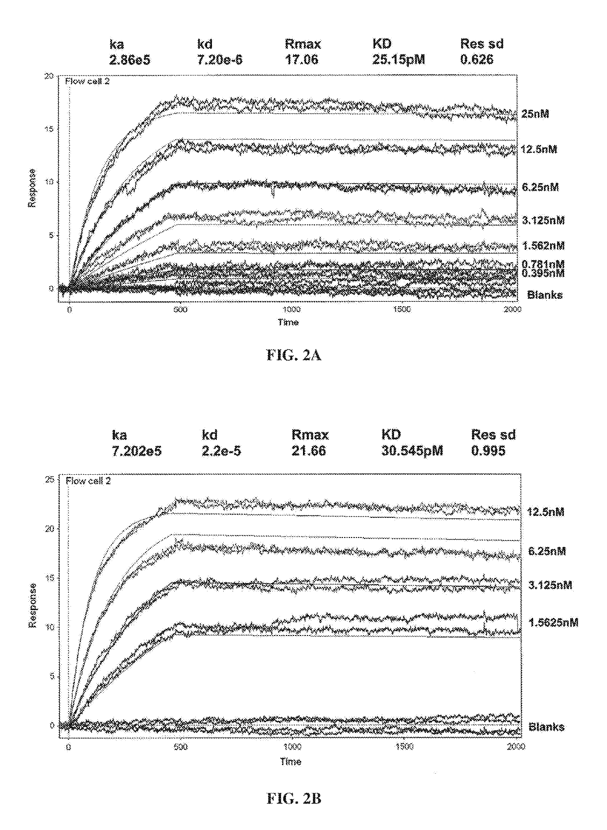 Methods of treating immunotherapy-related toxicity using a gm-csf antagonist