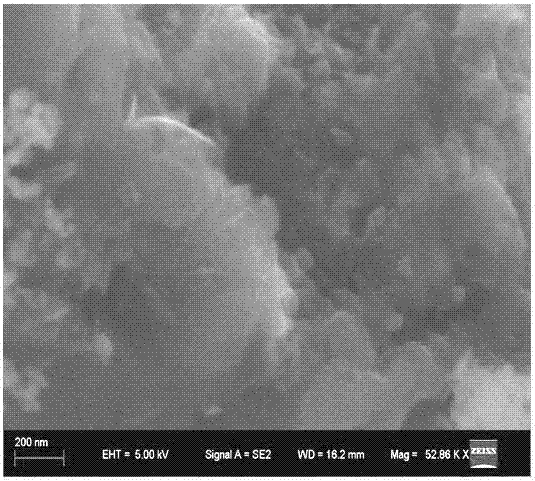 Method for preparing graphene by using halloysite nanotubes having curly layered structure