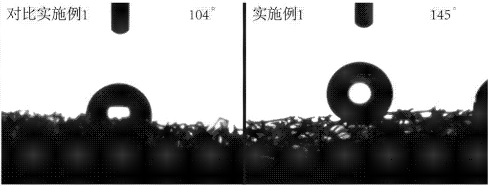 Lipophilic polyurethane sponge and preparation method thereof