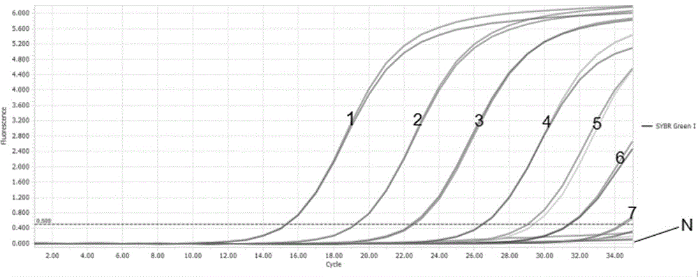 Dual fluorescence RT-PCR (Reverse Transcription-Polymerase Chain Reaction) detection method for PDCoV (porcine Delta coronavirus) and PEDV (porcine epidemic diarrhea virus) and application thereof