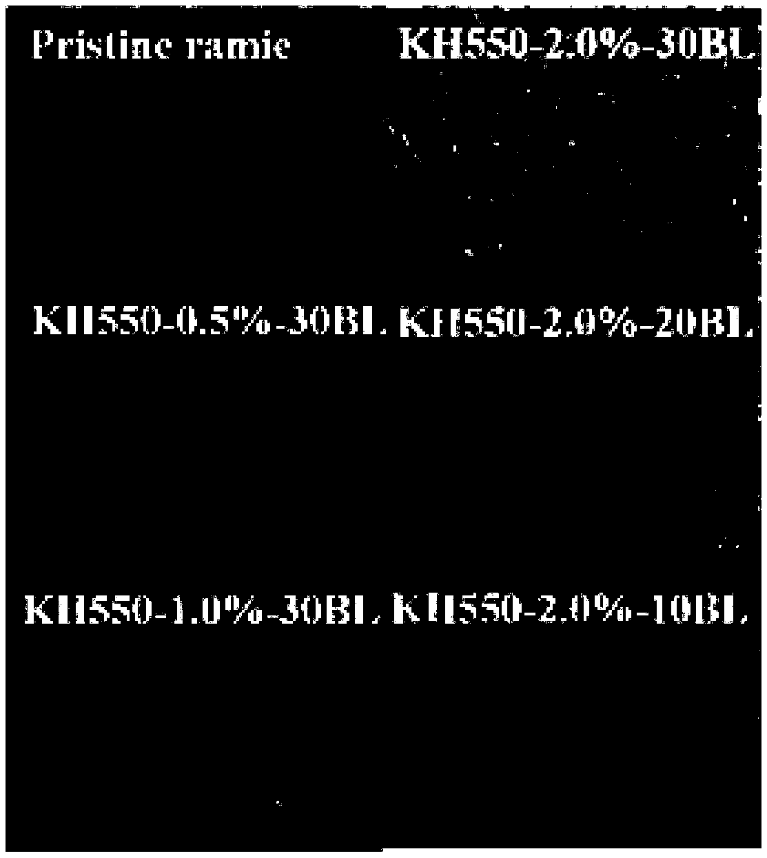 Preparation method of flame-retardant modified ramie fabric