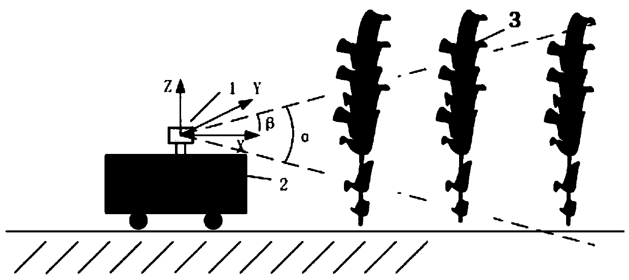 Online detection method for corn plant morphology