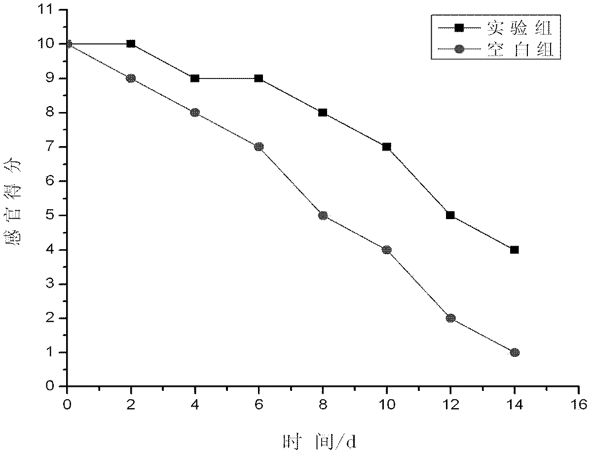 Water-soluble polymer iron chelator as well as preparation method and application thereof