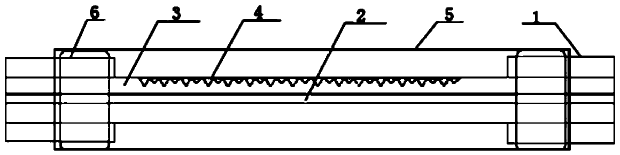 Laser etched pump light stripper and manufacturing method thereof